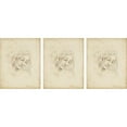 thumbnail image 3 of Harper, Ethan 14x8 Black Modern Framed Museum Art Print Titled - 3-UP Classical Portrait Study III, 3 of 5