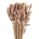 thumbnail image 1 of Uxcell 120 piezas de colas de conejo naturales flores secas 17" mini hierba de pampas Lagurus Ovatus ramo para decoración floral de boda, marrón, 1 of 6