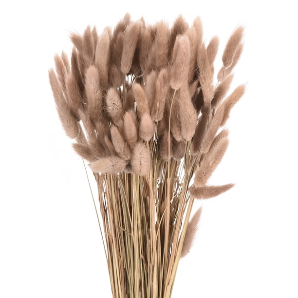 Uxcell 120 piezas de colas de conejo naturales flores secas 17" mini hierba de pampas Lagurus Ovatus ramo para decoración floral de boda, marrón