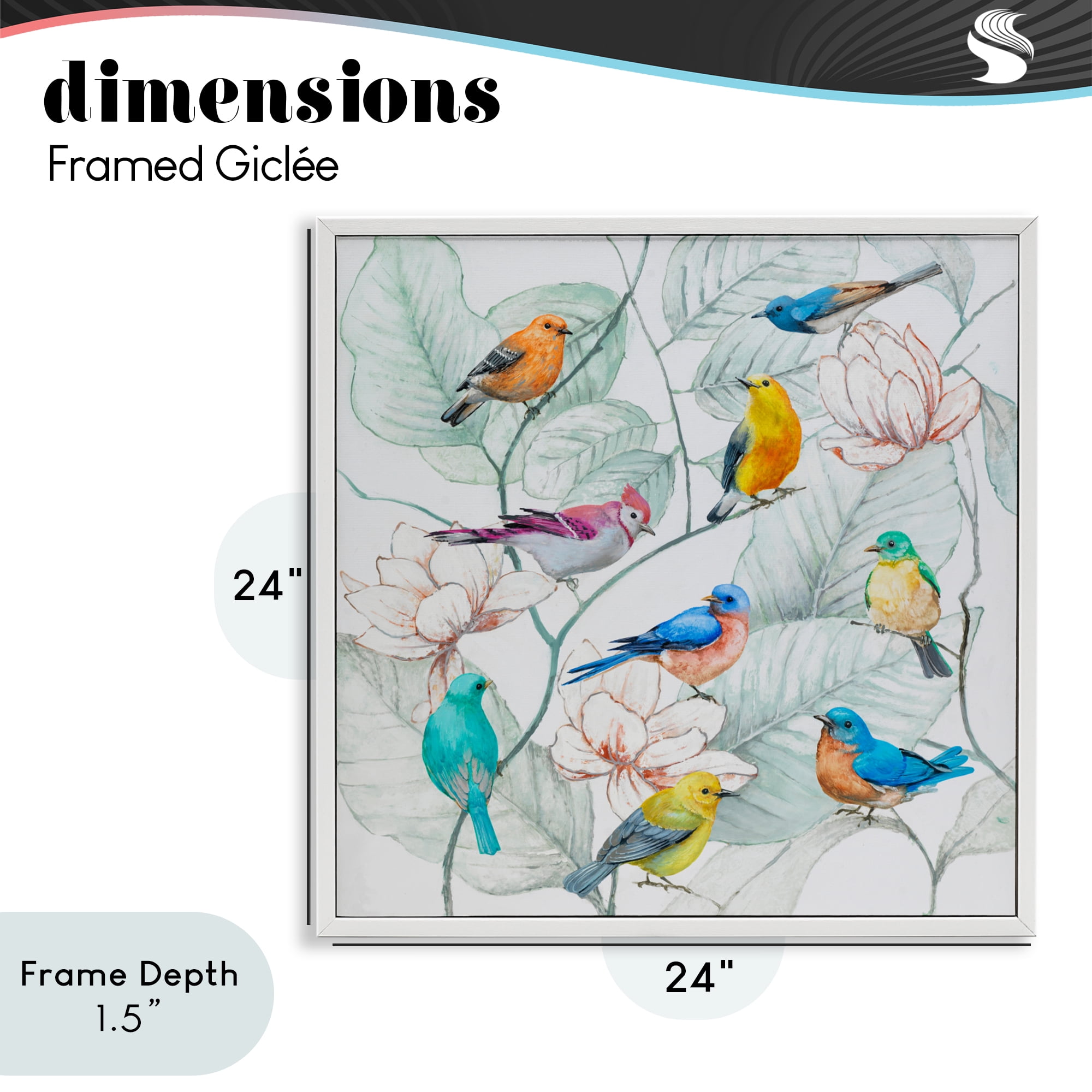 Stupell Industries Colorful Array Of Birds White Framed Giclee Art, design by Lorenzo Collective