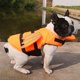 thumbnail image 3 of Chaleco salvavidas para perros con asa Chaleco salvavidas para perros ajustable para, 3 of 8