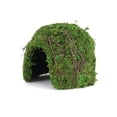 thumbnail image 4 of Galapagos Mossy Dome Terrarium Hideaway, Fresh Green, 1 Each/6 in, 4 of 7