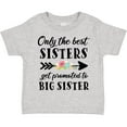 thumbnail image 3 of Inktastic Only the Best Sisters Get Promoted to Big Sister Boys or Girls Toddler T-Shirt, 3 of 5