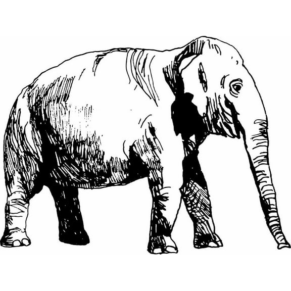 Do It Yourself Wall Decal Sticker Elephant Black & White 15x20"