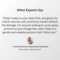 thumbnail image 2 of Polar Haircare - Blonde Coloring Shampoo for Gray Hair for Women & Men, Natural Semi Permanent Personal Color Product - Vegan Ammonia-Free Color Shampoo for Gray Hair, 2 of 6