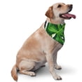 thumbnail image 2 of Naloa Palm Greenery Dog Bandanas 1PC Washable Triangle Dog Scarfs Premium Durable Fabric, for Small Medium Large Dogs and Cats, 2 of 6