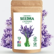 SEEDRA.US English Lavender Seeds for Indoor and Outdoor Planting - 1/4 LB - GMO-Free and Heirloom Seeds -Seeds in Bulk for Aromatherapy, Essential Oil - Seeds for Wholesale