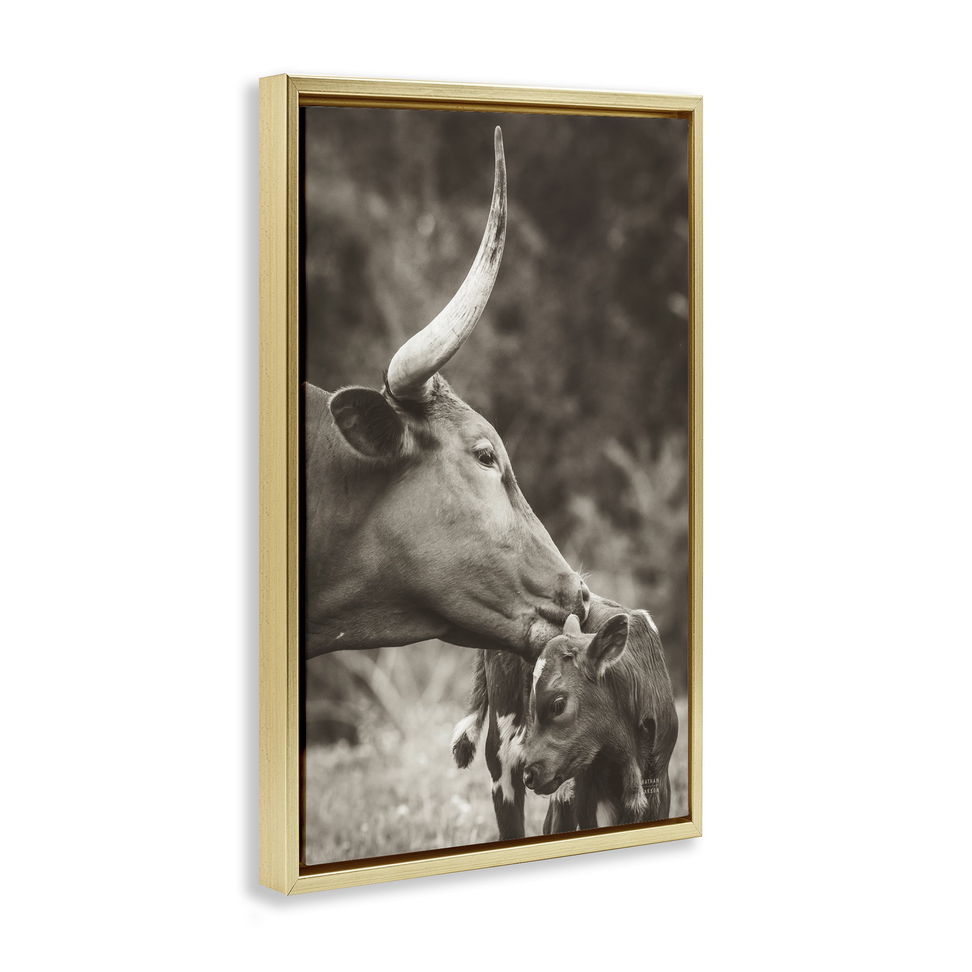 Stupell Industries Longhorn Kissing Baby Animals Photography Gold Floater Framed Canvas Art Print Wall Art, 21 x 31
