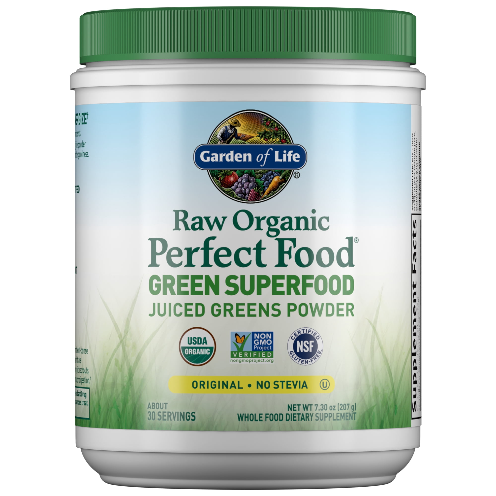 Garden of Life Raw Organic Perfect Food Green Superfood, Original, 30 Servings