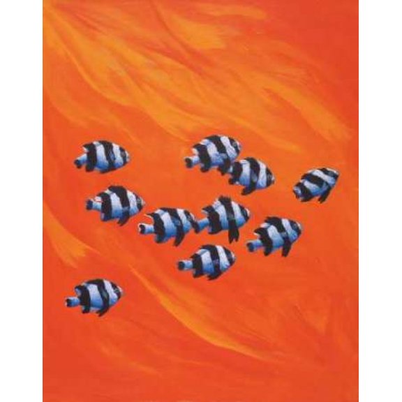 10 Black-Tailed Humbugs Canvas Art - Keith Siddle (22 x 28)