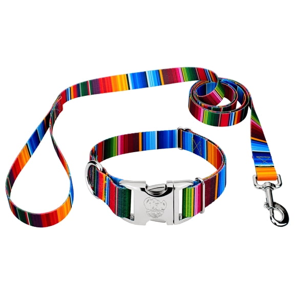 Country Brook Petz® Premium Serape Dog Collar and Leash, Large