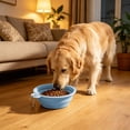 thumbnail image 5 of Collapsible Dog Bowl Silicone, 2 Pack Pet Travel Bowls | Foldable Water Feeder Dish for Small to Large Dogs Cat Walking Hiking Camping, Portable Dog Bowl, 5 of 6