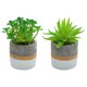 thumbnail image 1 of Mini suculentas de simulación en maceta, adornos creativos de moda, plantas verdes artificiales, 2 uds., 1 of 5