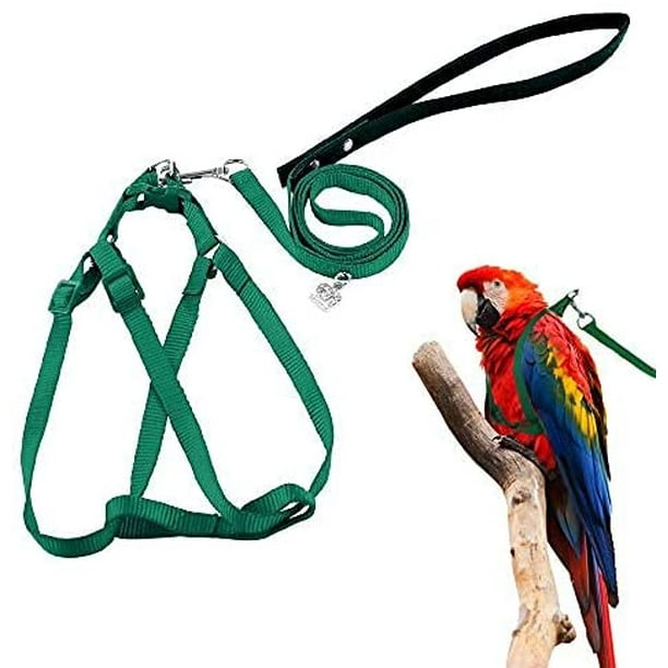 IGUOHAO Adjustable Feather Tether Bird Harness and Leash for Macaw  Cockatoos Amazon Parrot Medium to Large Breed Parrots Fits Birds Chest  Between