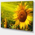 thumbnail image 2 of Tuscany Sunflowers on Green - Floral Canvas Art Print, 2 of 4