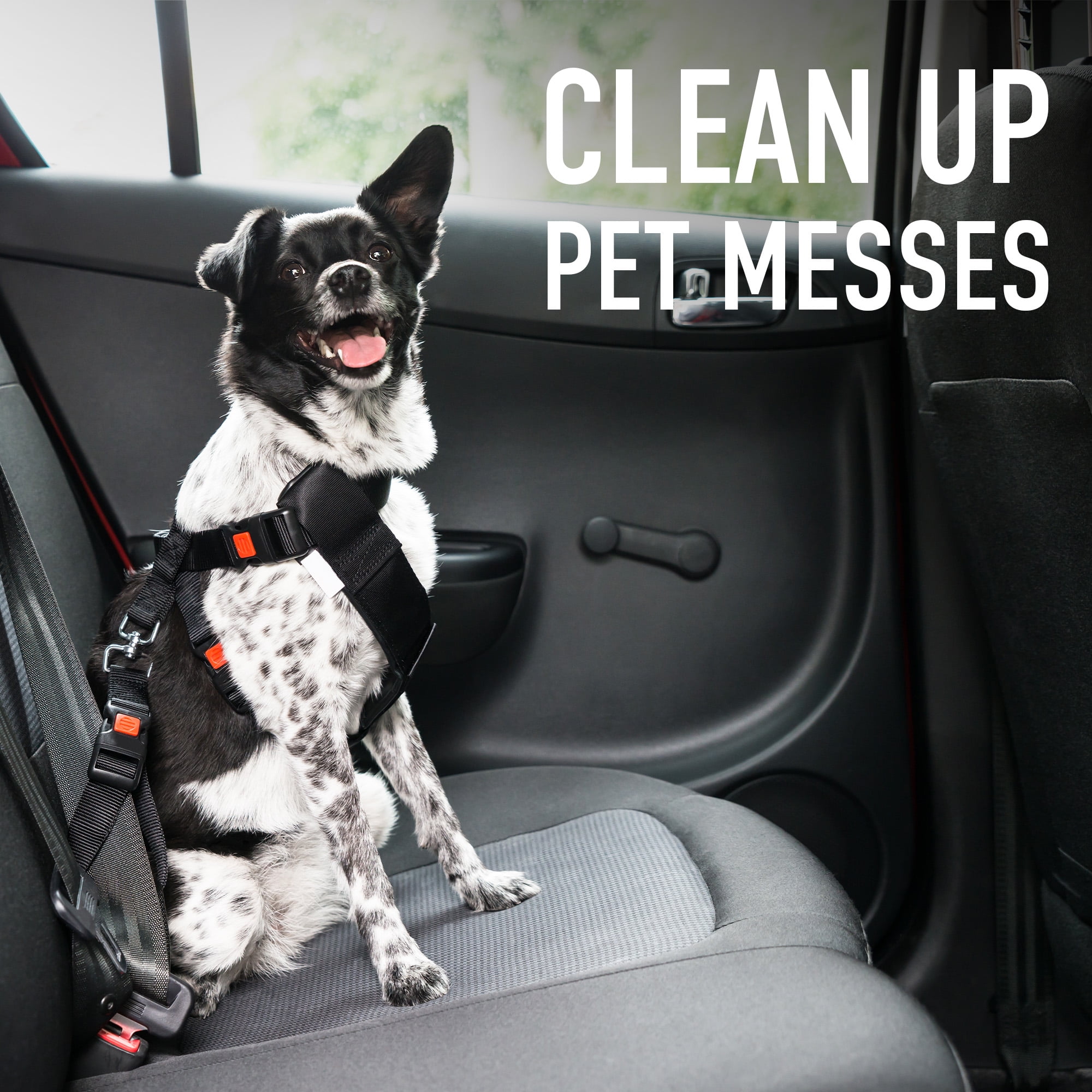 Hoover Auto Portable Spot Cleaning Solution, Fresh Car Scent, for Auto Interior, Seats, Floor Mats, Trunk, Protectant, Pet Messes, AH31717, 32 oz.