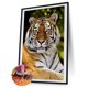 thumbnail image 1 of Cuadros Decorativos Kit de póster de tigre sentado 5D de pintura de diamante de taladro redondo completo hecho a mano DIY Sywqhk Nuevos Originales, 1 of 1