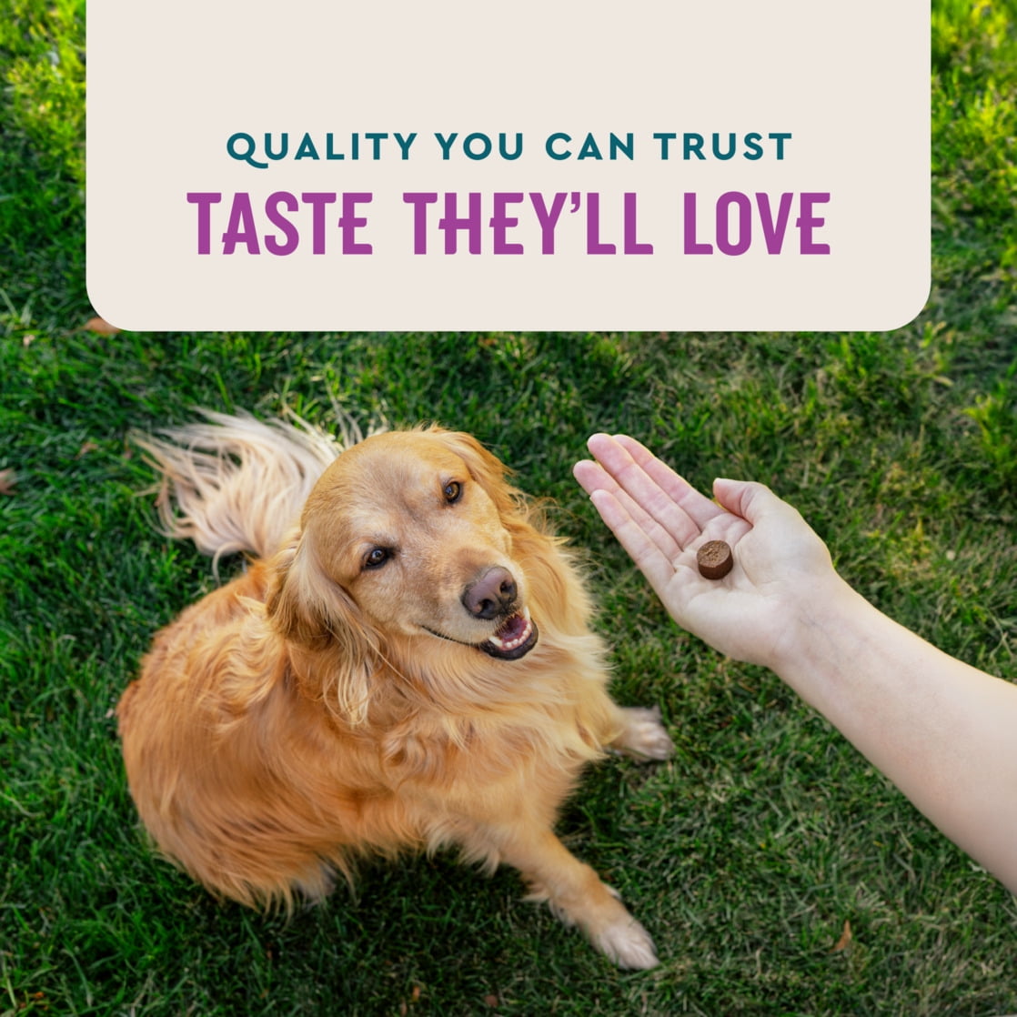 (6 pack) VetIQ Calming Support Supplement Soft Chews for Dogs, Hickory Smoke Flavored Soft Chews, 60 Count