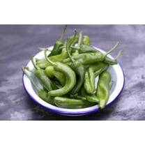 Gernika Gernikako Piperrak Chile Hot Pepper Premium Seeds Packet