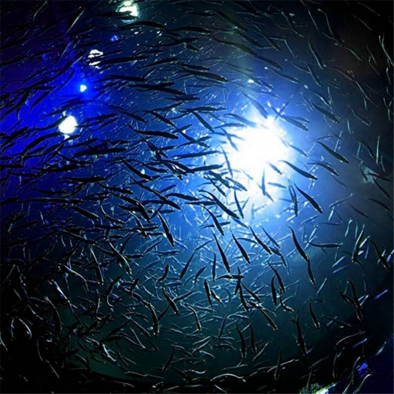 LED Fishing Lure Night Light Glow Underwater Attracting Fish Lamp