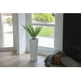 thumbnail image 5 of Vintage Home Artificial Faux Real Touch 3.17 Feet Tall Real Touch Agava With Fiberstone Planter, 5 of 5