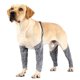 thumbnail image 5 of Inteprter Arnés de elevación de pierna ajustable para perro, resistente al agua Electrónica No.2, 5 of 6