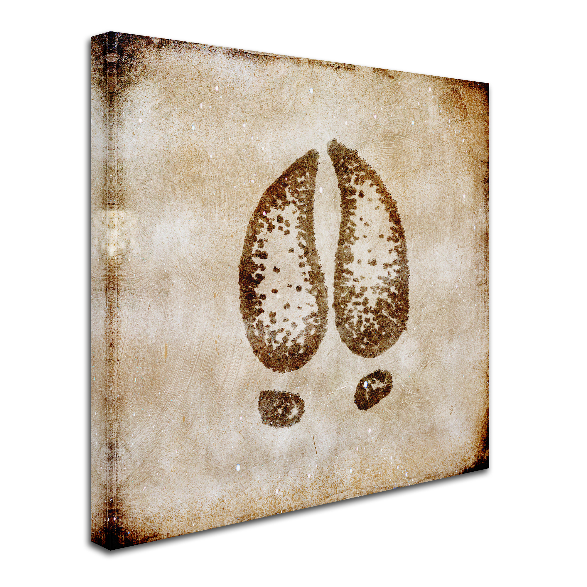 Trademark Fine Art 'Moose Lodge - Moose Track' Canvas Art by LightBoxJournal
