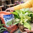 thumbnail image 4 of Coast of Maine Cape Neddick Blend 16 Qt. Indoor Houseplant Mix HP4000, 4 of 4