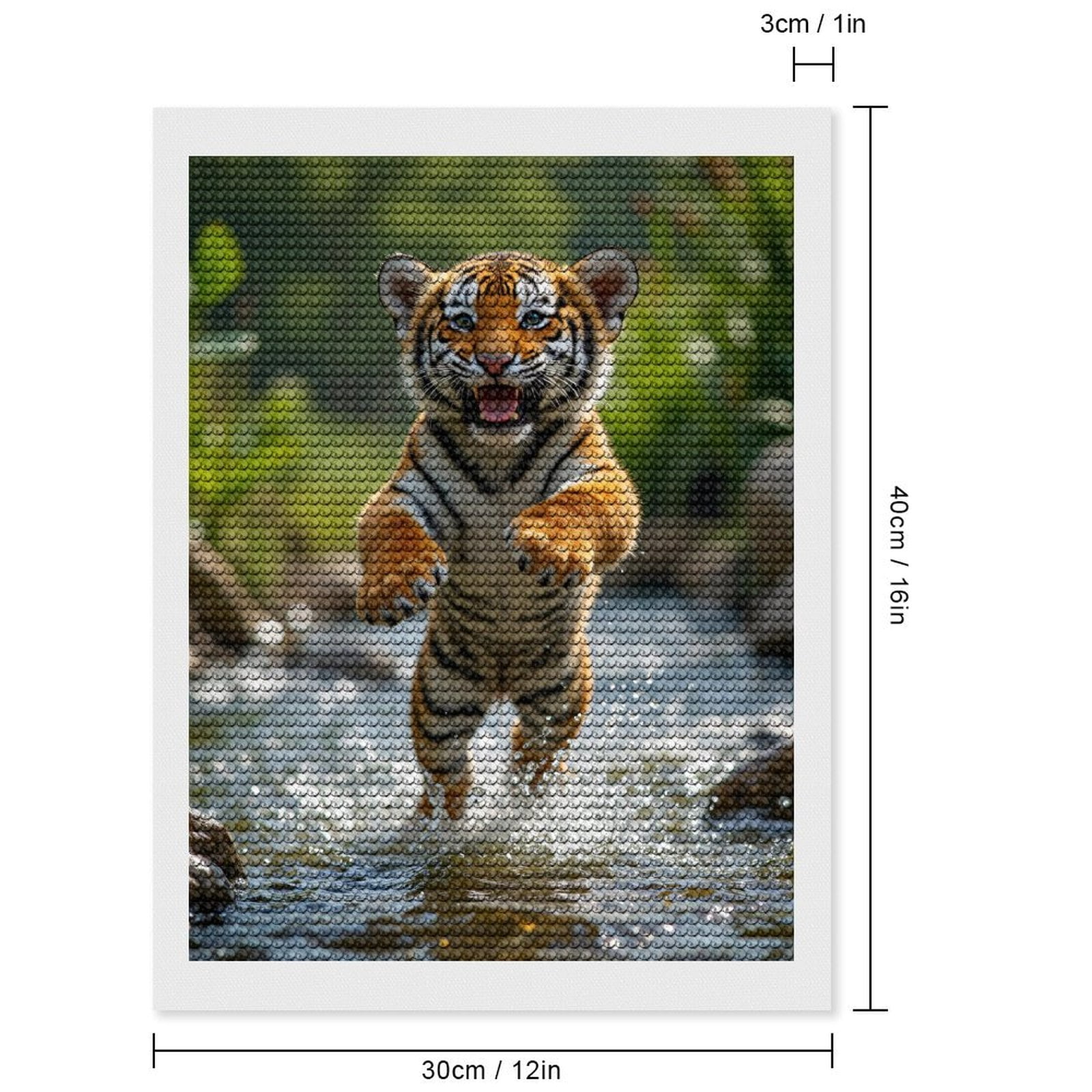 Diamond Art Kits for Adults, Playful Tiger Cub Stream Splash 5D Diamond Painting Kits for Adults Beginners, DIY Full Drill Diamond Painting, Gem Art and Crafts 12x16