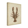 thumbnail image 2 of Trademark Fine Art 'Crustaceans III' Canvas Art by James Sowerby, 2 of 4
