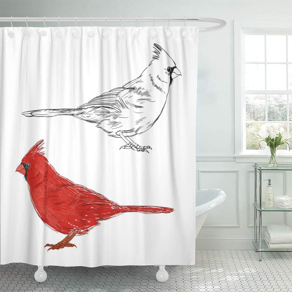 KSADK Red Sketch Cardinal Bird On White Outline Drawing Black Northern