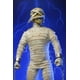 thumbnail image 5 of Figura de acción NECA Iron Maiden Momia Eddie vestida de 8", 5 of 5