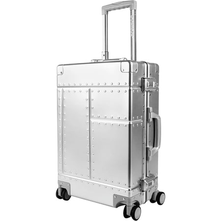 Dominox 20" Adult Hardside Spinner Carry On Checked Luggage, Silver