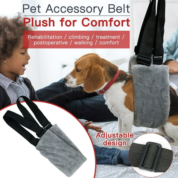 Dog Collar Camera Dog Collar Camera