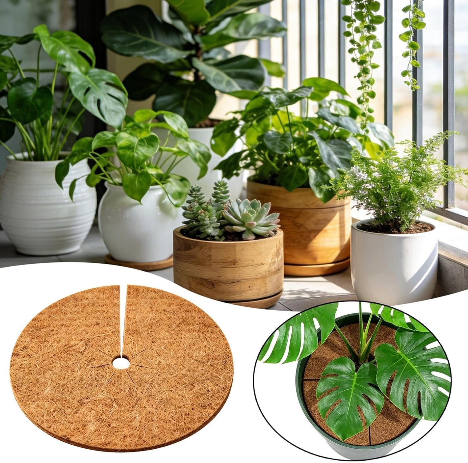 4pcs Coconut Fiber Mulch Ring Tree Plant Protector Mat, 14 Inch Natural Coco Coir Tree Mulch Ring Plant Pot Soil Covers, Tree Rings Disc Plant Cover for Indoor Outdoor Plants