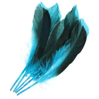 50 PCS Natural Colourful Rooster Feathers Fly Tying Bulk Feathers Christmas  Decorations For Home Wedding New