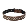 thumbnail image 2 of Flmtop Pet Collar Rhinestone Inlaid Adjustable Cowhide Decorative Puppy Necklace for Daily Life Brown, 2 of 9