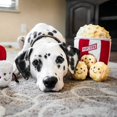 thumbnail image 5 of Food Buddies Cubo de palomitas de maíz – Juguetes interactivos de verano para perros para el aburrimiento – Juguetes para perros escondidos y buscados, juguetes coloridos para perros pequeños y median, 5 of 5