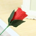 thumbnail image 6 of 10 PCS Red/Blue Torch to Rose Magic, Flame to Flower Trick, Magic Street Performance, Sleight of Hand Magic, Professional Magic Illusion Prop for Close-Up & Stage Magic, 6 of 9