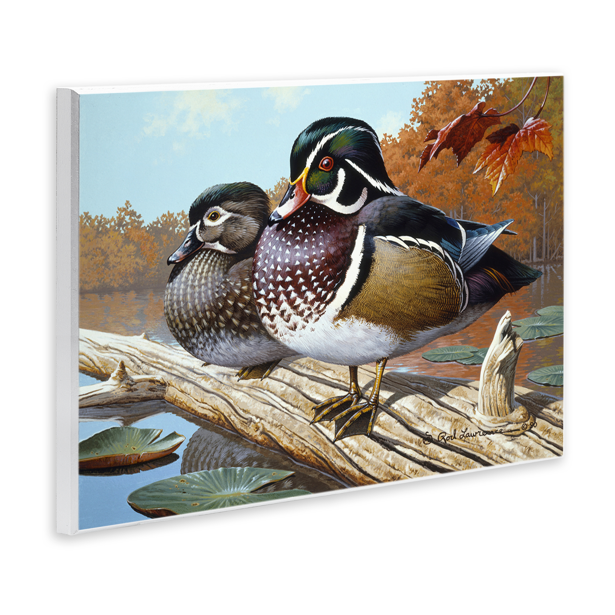 Stupell Industries Duck Pair on Driftwood Animals Painting Unframed Art Print Wall Art, 19 x 13