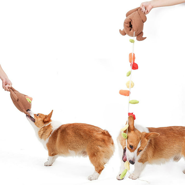 Hen Lay Eggs Training Pet Toys Snuffle Iq Dog Toy Squeaker Fun Play Chicken  Toys - Dog Toys - AliExpress