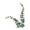 thumbnail image 5 of Artificial Plant - 44" Tall - Indoor - Floor - Potted - Green Leaves, 5 of 6