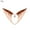 Skin Color, variant on Lubelski Halloween Glow in The Dark Fairy Cosplay Anime