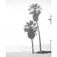 thumbnail image 3 of Straatsma, Leah 12x14 Black Modern Framed Museum Art Print Titled - Palm Trees, 3 of 5