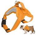 View all media