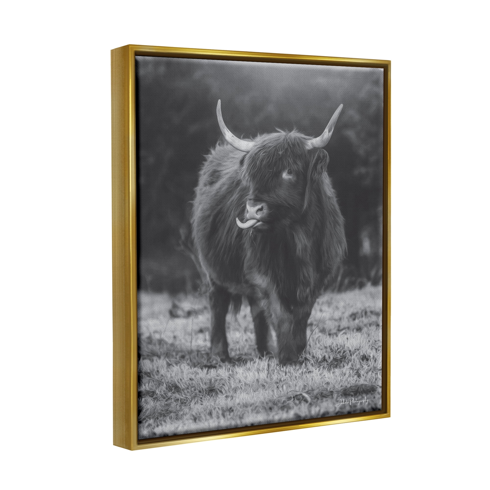 Stupell Monochrome Highland Cow Photography Animals & Insects Photography Gold Floater Framed Art Print Wall Art