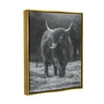 thumbnail image 3 of Stupell Monochrome Highland Cow Photography Animals & Insects Photography Gold Floater Framed Art Print Wall Art, 3 of 6