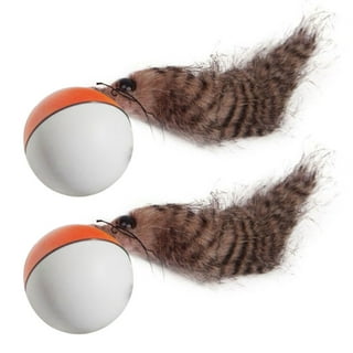 Auto Rolling Weasel Ball For Dogs and Cats – Sugar Pet Shop