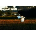 thumbnail image 2 of Hausenflock, Alan 18x13 Gold Ornate Wood Framed with Double Matting Museum Art Print Titled - Egret in Flight II, 2 of 4
