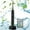 Black, variant on Byujiro 32000 Timess/min High Frequency Electric Electronic Toothbrush with 4 Brush Heads for Adults and Children 6 Modes Electronic Toothbrush